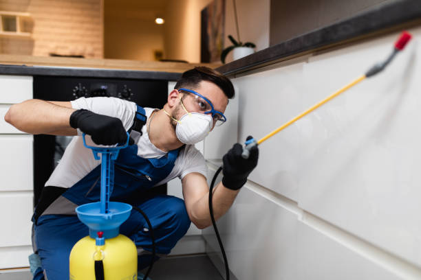 Best Cockroach Control Services  in Stafford Springs, CT