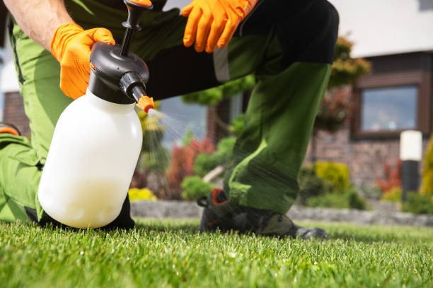 Best Wasp Removal Services  in Stafford Springs, CT