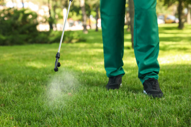 Best Bed Bug Extermination  in Stafford Springs, CT