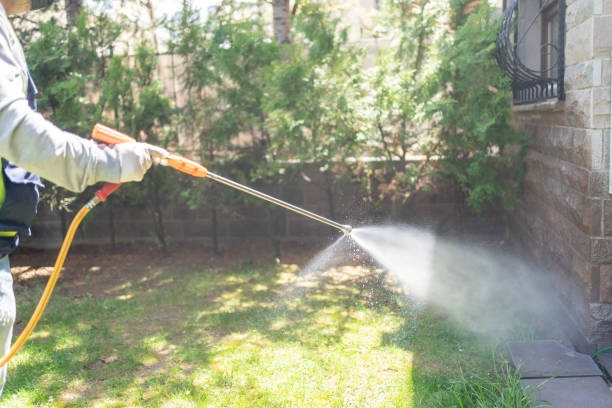 Best Wildlife Control Services  in Stafford Springs, CT