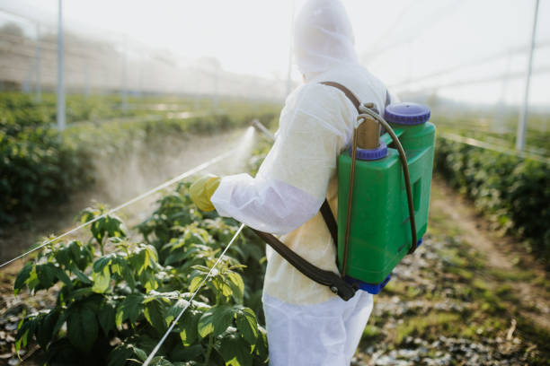 Stafford Springs, CT Pest Control Company